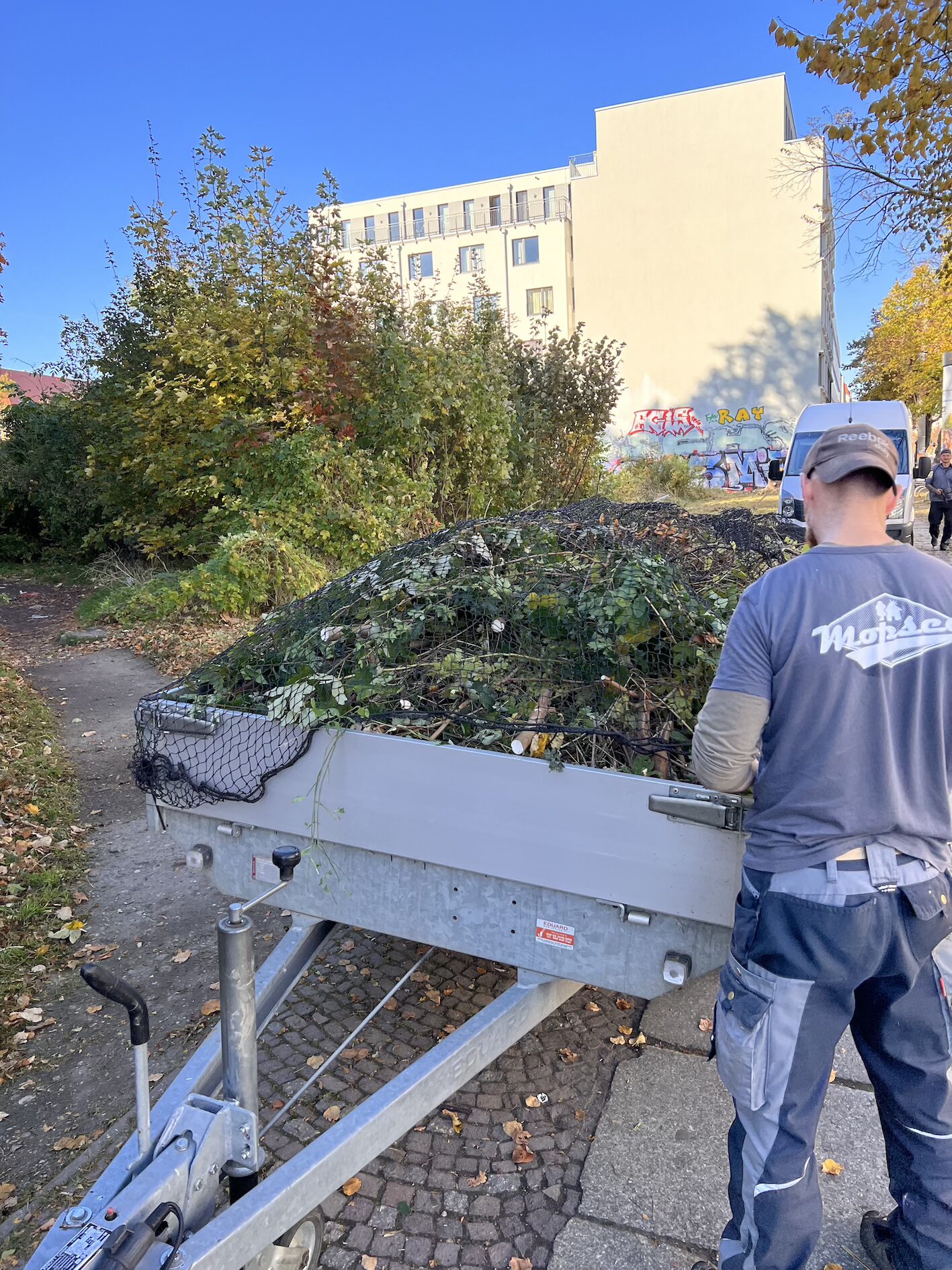Gepflegter Garten und Außenbereich nach Arbeiten von MOPSEO