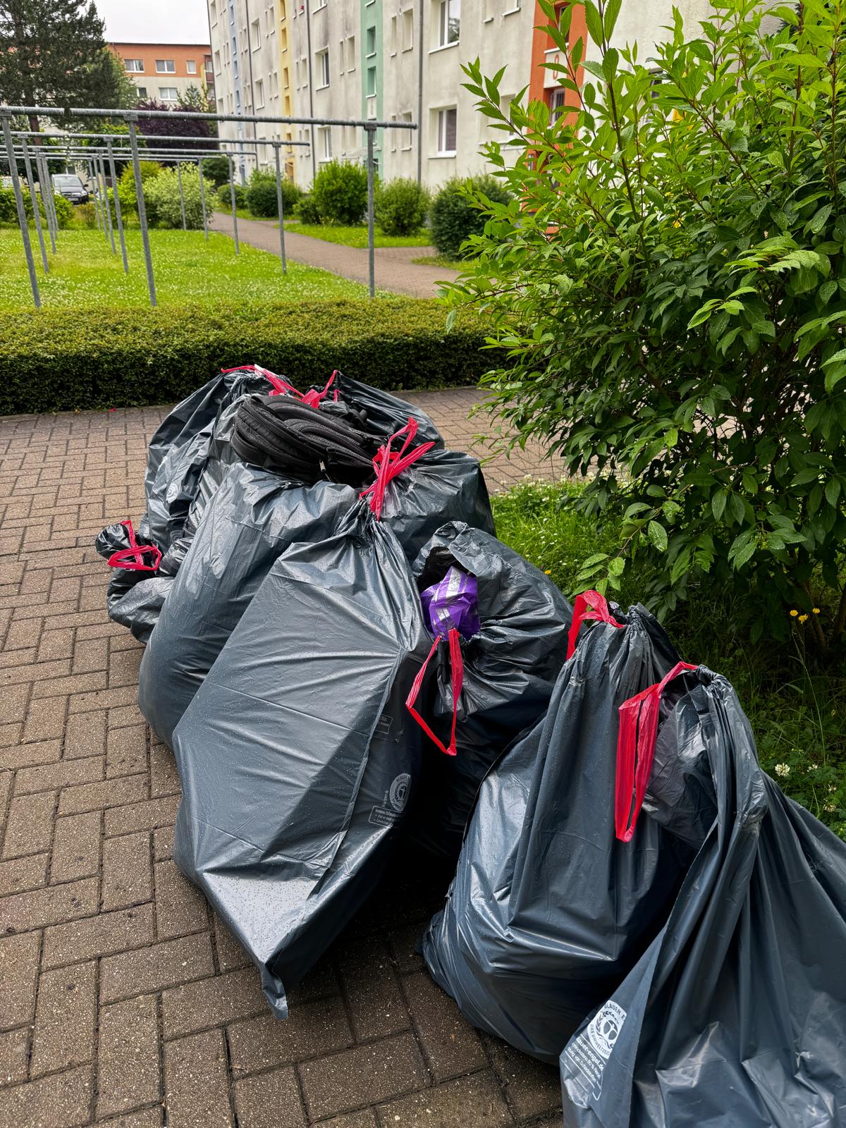 Projektbetreuung und Fortschrittsinformation durch MOPSEO