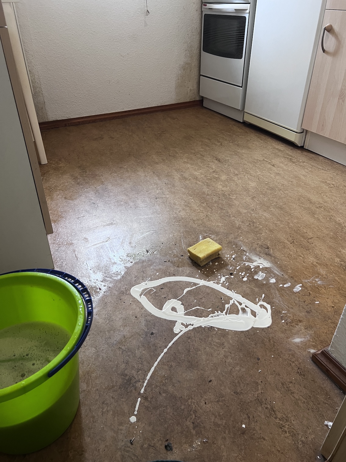 Vertrauliche Beratung zur Tatortreinigung durch MOPSEO