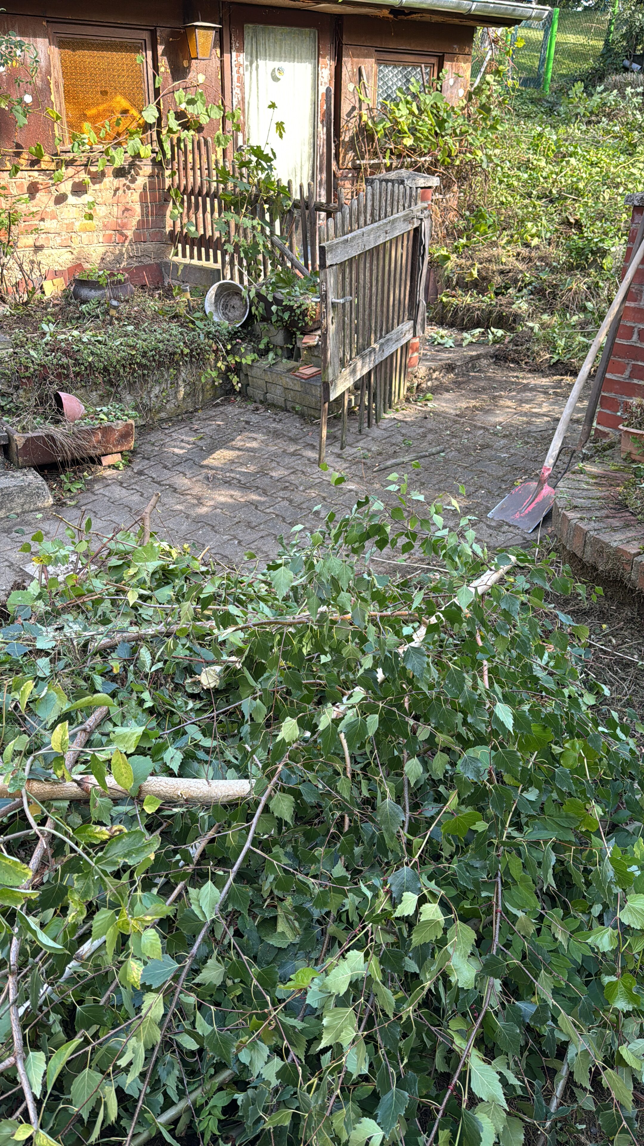 Freigelegter Weg nach Entfernung von Wildwuchs durch MOPSEO