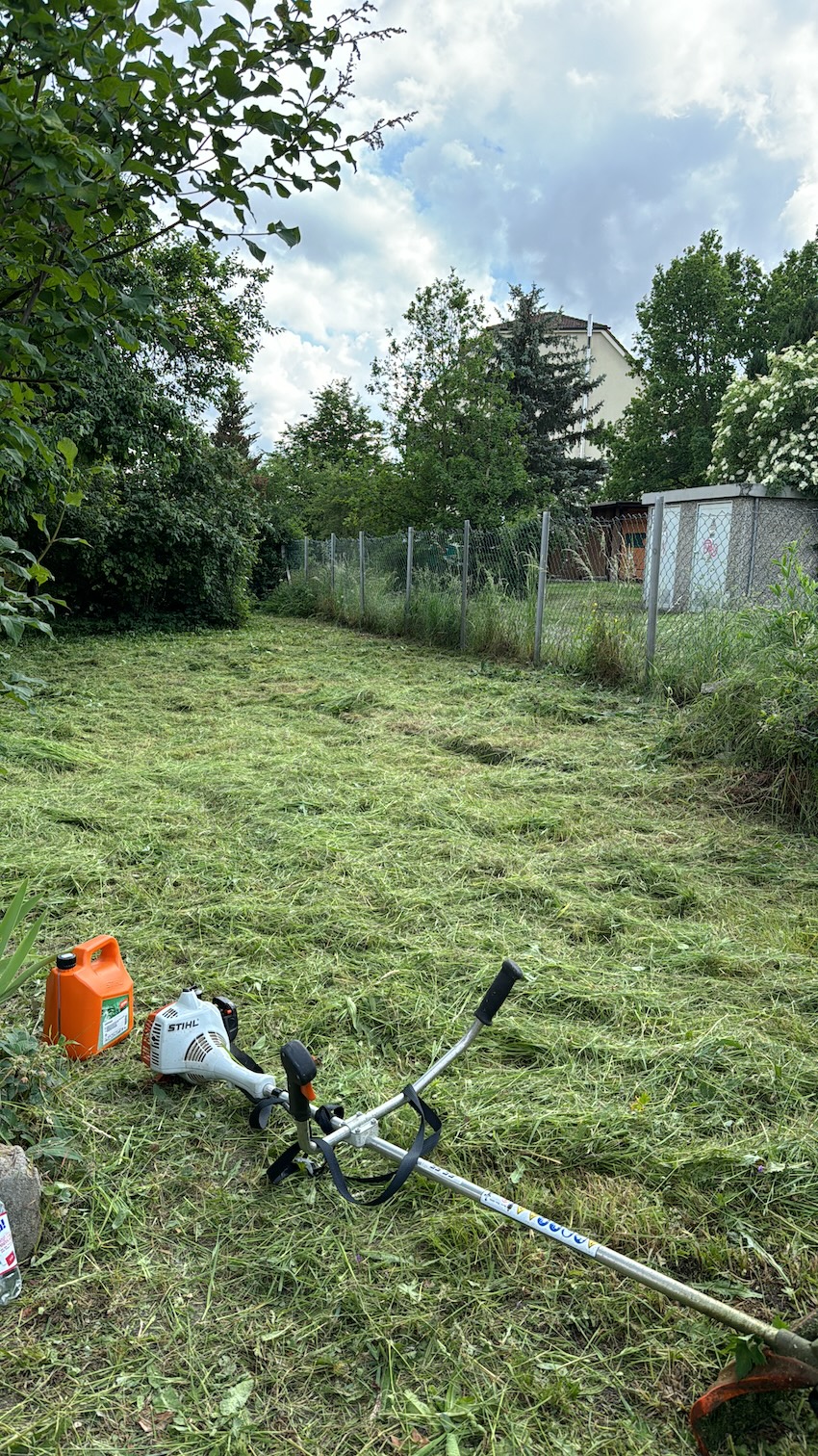 Rückschnitt und Wildwuchsbeseitigung Entfernung von Wildwuchs auf einem Grundstück durch MOPSEO